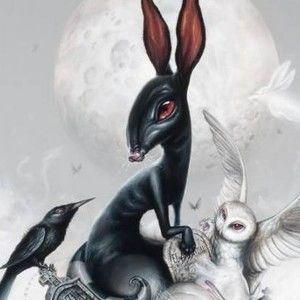 Meet your Posher, Vance